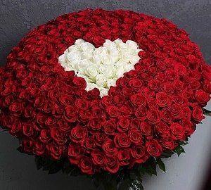 Professional floral arrangement in modern corporate setting